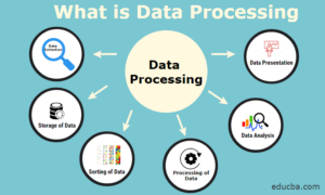 Waec Data Processing 2024 Answer