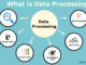 Waec Data Processing 2024 Answer