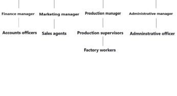 Waec 2024 Commerce Objectives & Essay Answers