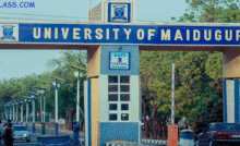 UNIMAID Remedial 2025 Admission form