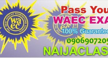 Waec 2025 Agric Science Essay And Objective Answer