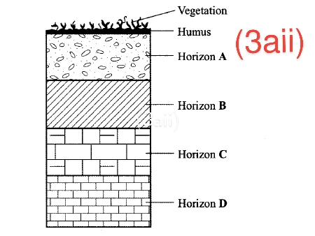 2025 NECO Agricultural Science Question and Answer 2025 NECO Agricultural Science Question and Answer