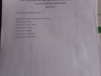 Jupeb 2025 Biology Practical Specimen