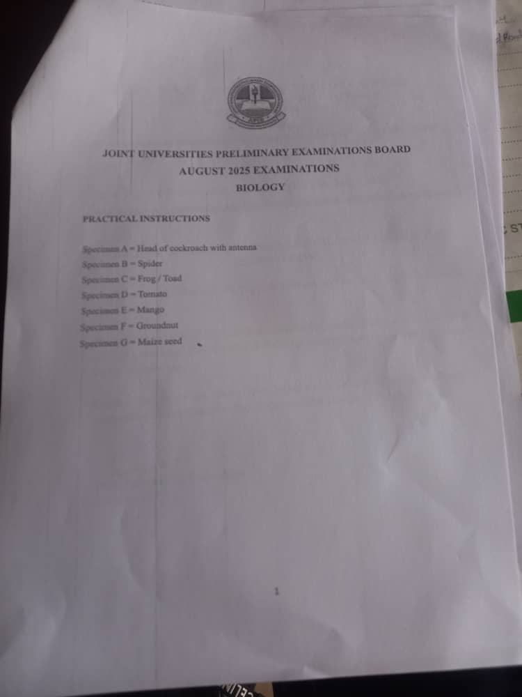 Jupeb 2025 Biology Practical Specimen