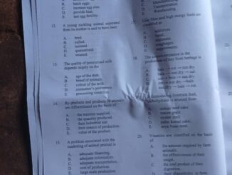 Neco 2025 Animal Husbandry Question And Answer (Objective and Essay)