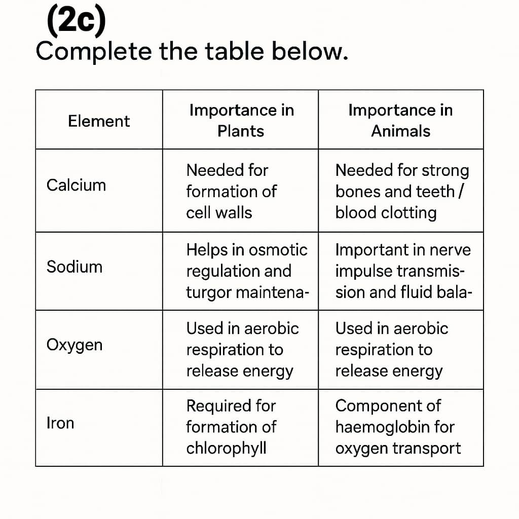 Waec GCE 2025 Biology Questions And Answers